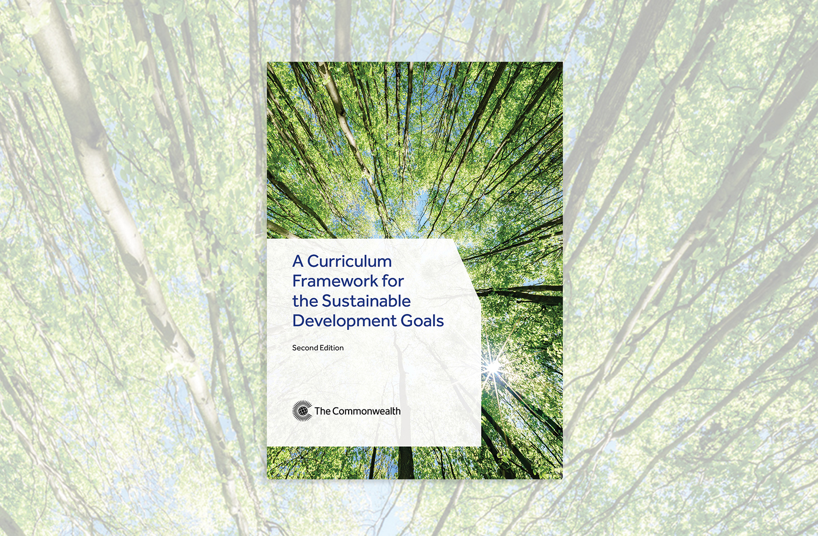 The Second Edition of the Curriculum Framework for the SDGs